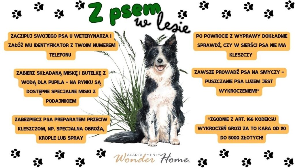 Infografika z informacjami "Z psem w lesie"