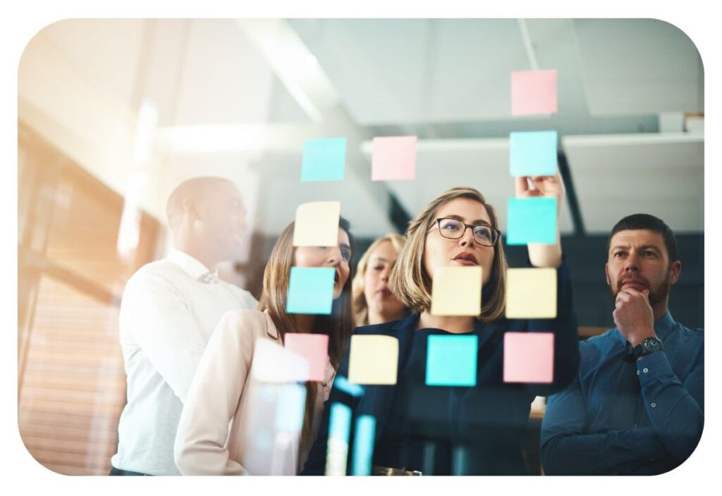 marketing operator wynajmu w Świeradowie-Zdroju