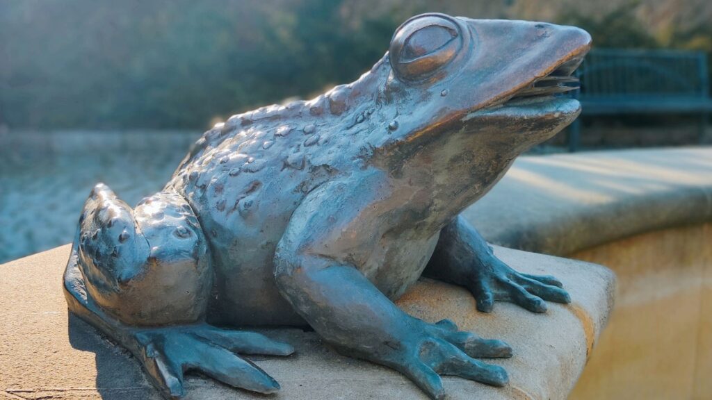 żaba Świeradów-Zdrój fontanna