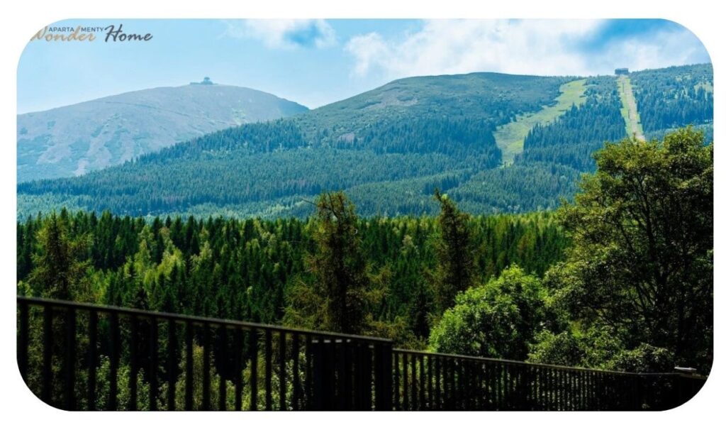 Lokalizacja Orlik Wonder Home