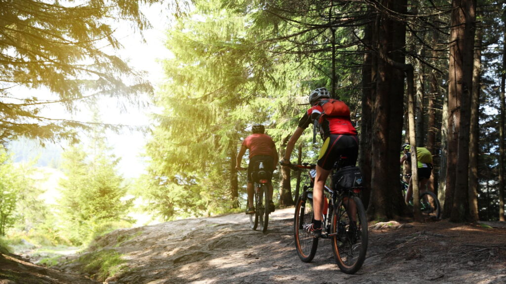 MTB dla zaawansowanych Świeradów-Zdrój