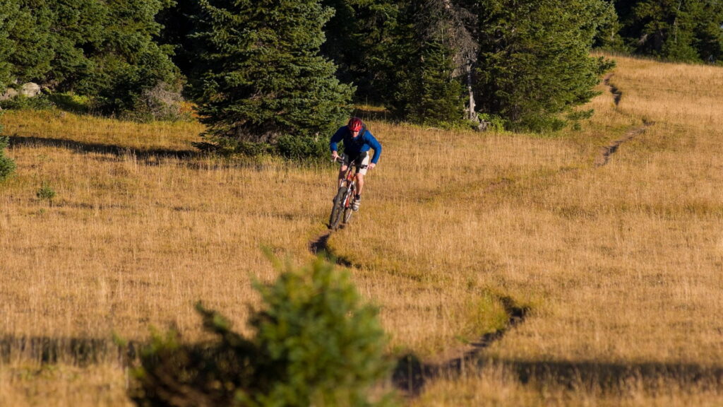 singletracki w Świeradowie-Zdroju dla średniozaawansowanych