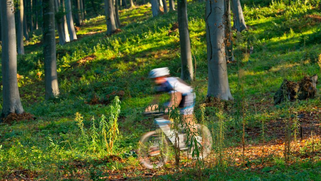 singletracki w Świeradowie-Zdroju dla zaawansowanych